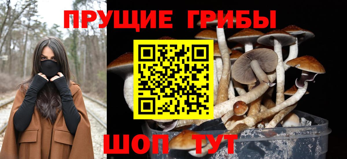 Галлюциногенные грибы прущие грибы Нефтекумск