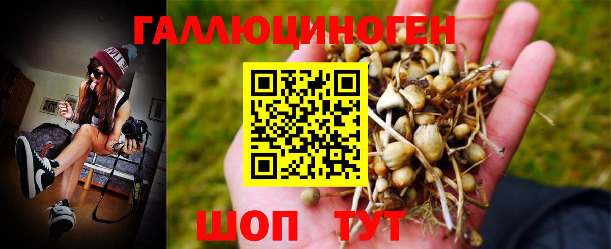 Псилоцибиновые грибы Magic Shrooms  Галлюциногенные грибы Psilocybe  Вход с VPN  Нефтекумск 